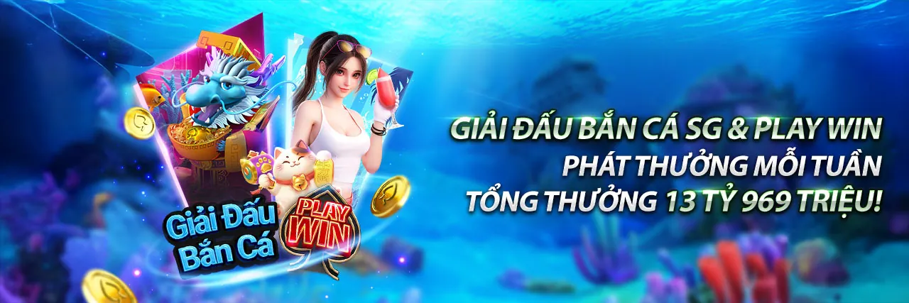 Chính sách Cookie của dg789 casino