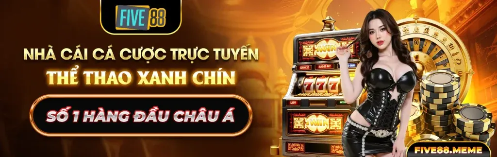Chơi công bằng và hỗ trợ 24/7