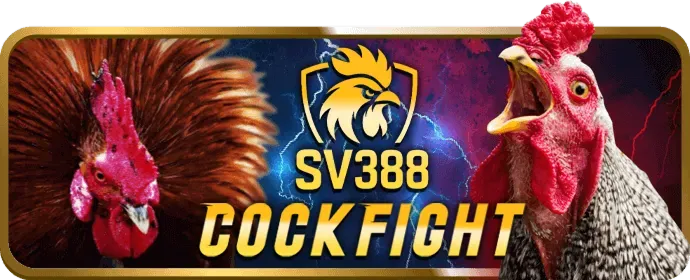 Hình ảnh minh họa các loại hình cá cược và quy tắc trò chơi tại dg789 casino