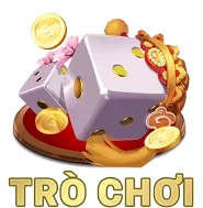 Cải thiện Liên tục